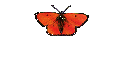 Auf dem Lande