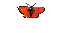 Bildergalerie 1