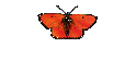 Bildergalerie 2