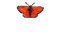 Bildergalerie 3