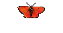 Die 50 ziger