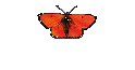 Die 60 ziger