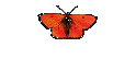 Die wilden 70 ziger