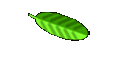 Lebensgeschichte