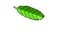 Nur die Liebe z�hlt 